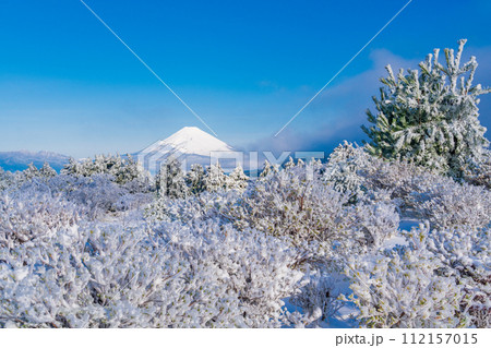 （静岡県）霧氷に覆われた十国峠　富士山眺望 112157015
