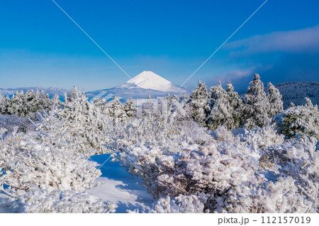 （静岡県）霧氷に覆われた十国峠　富士山眺望 112157019