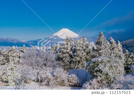 （静岡県）霧氷に覆われた十国峠　富士山眺望 112157023