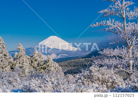(静岡県)霧氷に覆われた十国峠 富士山眺望 (静岡県)霧氷に覆われた十国峠 富士山眺望 112157025
