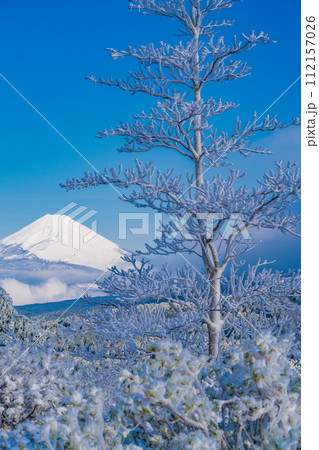(静岡県)霧氷に覆われた十国峠 富士山眺望 (静岡県)霧氷に覆われた十国峠 富士山眺望 112157026