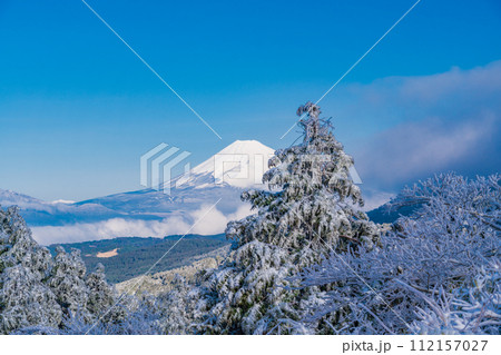 （静岡県）霧氷に覆われた十国峠　富士山眺望 112157027