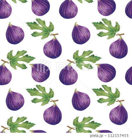 Seamless pattern of fig fruit with leaves.Illustration with watercolors and markers.Isolated handmade art. Bright tropical berries for background design, wallpaper, textiles, juice packaging, menu. 112157455