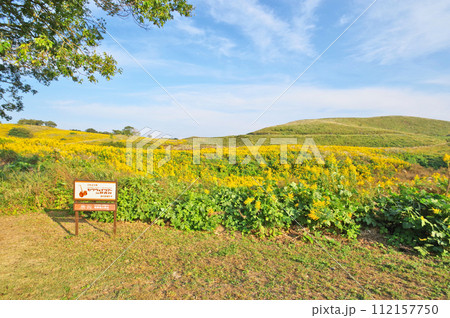山口県美祢市の観光スポット秋吉台カルストロード 112157750