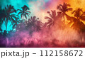 静かな熱帯夕日の雰囲気 112158672