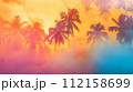 静かな熱帯夕日の雰囲気 112158699