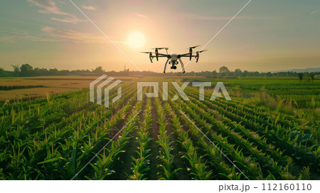 A modern drone hovers above a lush cornfield, capturing the essence of precision agriculture and farming technology at dawn. 112160110