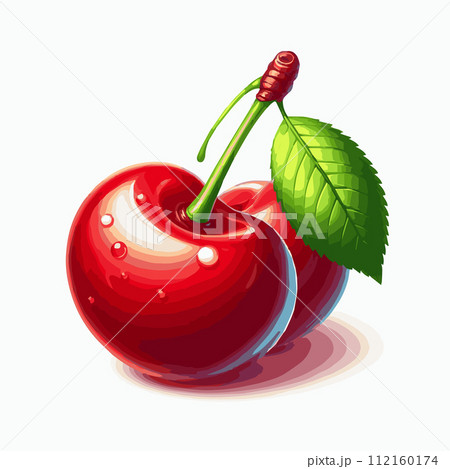 Vector illustration red cherry fruit white background 112160174