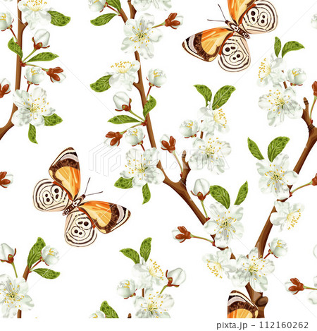 Spring seamless pattern with cherry blossom and brown butterfly. White flowers. 112160262