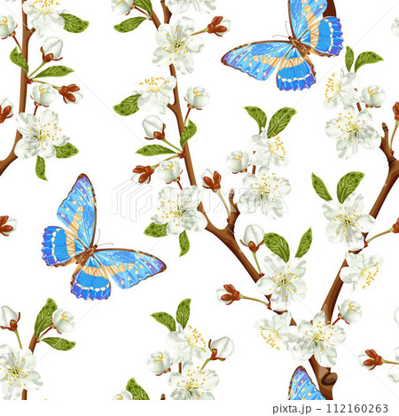 Spring seamless pattern with cherry blossom and blue butterfly. White flowers. 112160263