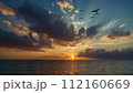 海に沈む夕日とカモメ 112160669