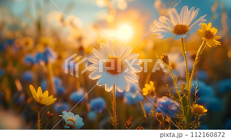 Background illustration about spring. There are flowers in the meadow in the beautiful morning sunlight with a blurred background makes you feel refreshed and want to create new things or start over. 112160872