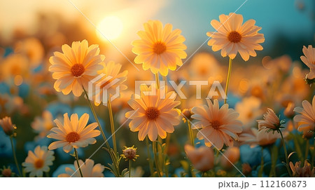 Background illustration about spring. There are flowers in the meadow in the beautiful morning sunlight with a blurred background makes you feel refreshed and want to create new things or start over. 112160873