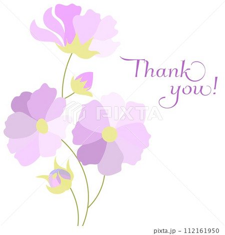 Thank you with flowers card lettering. Pink flower with bud. Spring flowers. 112161950