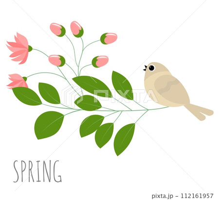 Spring. Blooming twig and bird. Elegant floral backdrop set with a place for text. 112161957