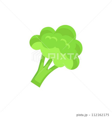 Broccoli Icon vector. Broccoli vegetable fresh farm healthy food. Broccoli colorful realistic icon vegetables symbol on white background. Broccoli Icon vector. Broccoli vegetable fresh farm healthy food. Broccoli colorful realistic icon vegetables symbol on white background. 112162175