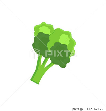 Broccoli Icon vector. Broccoli vegetable fresh farm healthy food. Broccoli colorful realistic icon vegetables symbol on white background. Broccoli Icon vector. Broccoli vegetable fresh farm healthy food. Broccoli colorful realistic icon vegetables symbol on white background. 112162177