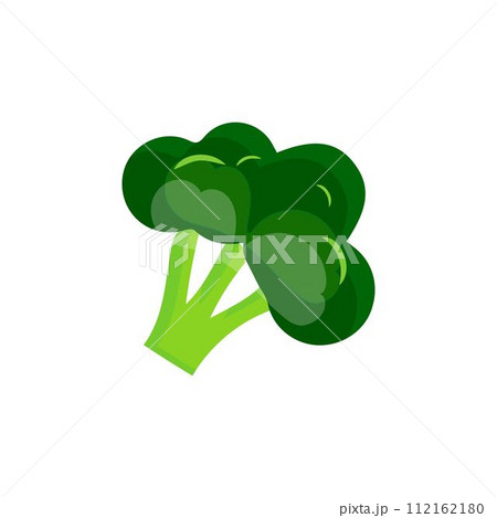Broccoli Icon vector. Broccoli vegetable fresh farm healthy food. Broccoli colorful realistic icon vegetables symbol on white background. Broccoli Icon vector. Broccoli vegetable fresh farm healthy food. Broccoli colorful realistic icon vegetables symbol on white background. 112162180