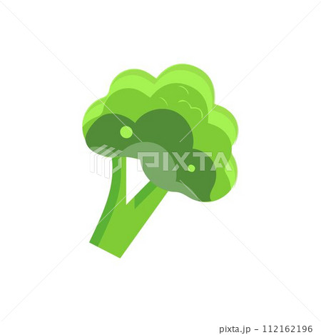 Broccoli Icon vector. Broccoli vegetable fresh farm healthy food. Broccoli colorful realistic icon vegetables symbol on white background. Broccoli Icon vector. Broccoli vegetable fresh farm healthy food. Broccoli colorful realistic icon vegetables symbol on white background. 112162196