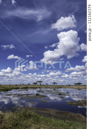 Tanzania, Serengeti, Beautiful landscape reflected in the water Tanzania, Serengeti, Beautiful landscape reflected in the water 112162374