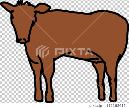 brown cow_agriculture brown cow_agriculture 112162615