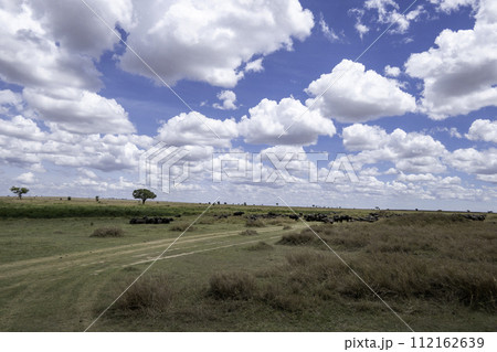 Tanzania, Serengeti, Beautiful landscape of the plain with blue sky 112162639