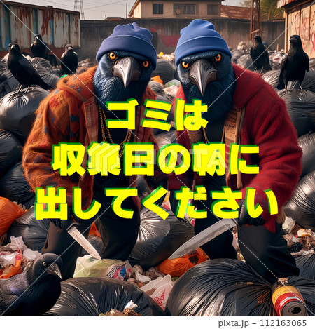 ごみ出しルール啓発用素材　カラス 112163065