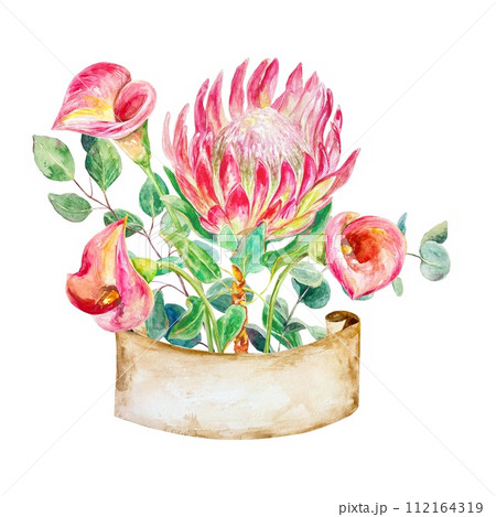 Protea, calla lilies watercolor. Illustration of a bouquet, eucalyptus branches, banner for text, isolated on a white background. Cards, invitations. 112164319