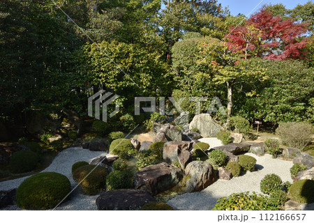 退蔵院 元信の庭【名勝史跡庭園】 退蔵院 元信の庭【名勝史跡庭園】 112166657