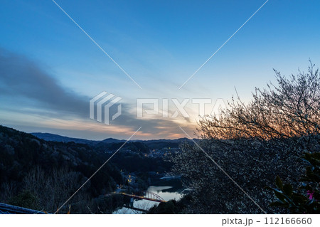 梅が見頃を迎えつつある早春の月ヶ瀬梅渓の夕景 大空にたなびく雲と夕焼けの残照を背にした白梅 梅が見頃を迎えつつある早春の月ヶ瀬梅渓の夕景 大空にたなびく雲と夕焼けの残照を背にした白梅 112166660