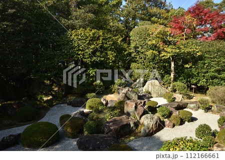 退蔵院 元信の庭【名勝史跡庭園】 退蔵院 元信の庭【名勝史跡庭園】 112166661