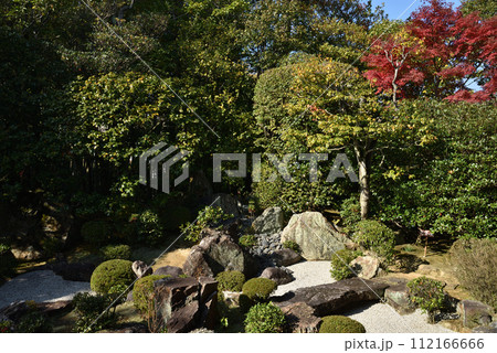 退蔵院 元信の庭【名勝史跡庭園】 退蔵院 元信の庭【名勝史跡庭園】 112166666