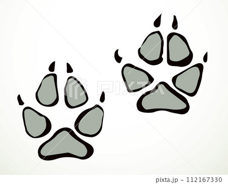 Dog foot print. Vector drawing Dog foot print. Vector drawing 112167330