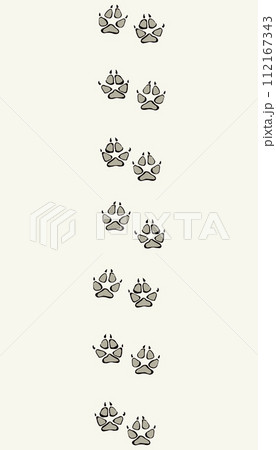 Dog foot print. Vector drawing 112167343