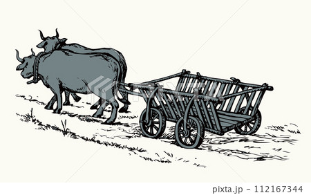 Empty cart drawn by oxen. Vector drawing 112167344
