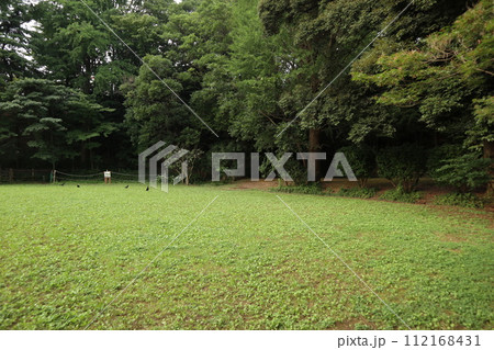 大田区　 田園調布せせらぎ公園 112168431