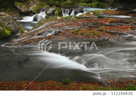 秋の菊池渓谷 秋の菊池渓谷 112168638