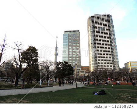錦糸公園で寝転び東京スカイツリーを見る 錦糸公園で寝転び東京スカイツリーを見る 112168827