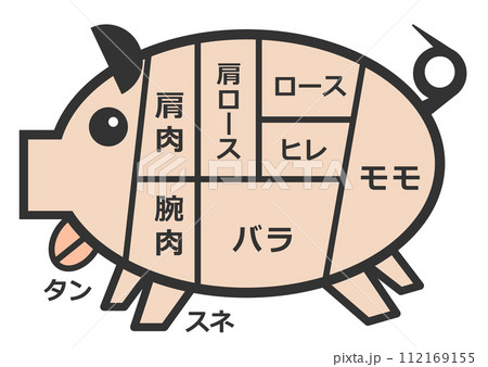 美味しくてヘルシーな豚肉の部位を説明したブタの断面図イラスト 112169155