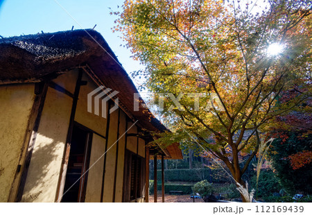 秋の都筑民家園の風景 112169439
