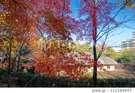 秋の都筑民家園の風景 秋の都筑民家園の風景 112169447