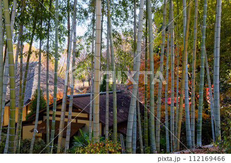 秋の都筑民家園の風景 112169466