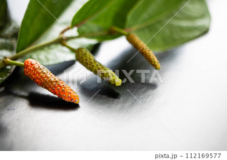 黒背景のヒハツ 112169577