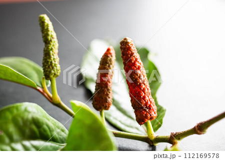 黒背景のヒハツ 112169578