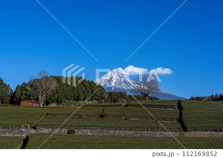 青空バックに見る富士山と広大なお茶畑の絶景 112169852