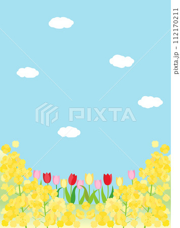 菜の花とチューリップと青空の春の丘のカード 縦型バージョン 菜の花とチューリップと青空の春の丘のカード 縦型バージョン 112170211