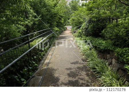 品川　御殿山の街並み 112170276