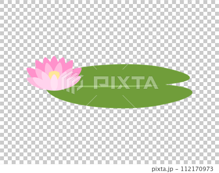 スイレンの葉_ピンクの花 112170973