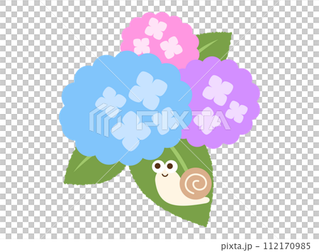 梅雨_カタツムリが乗った紫陽花 梅雨_カタツムリが乗った紫陽花 112170985
