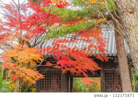 輪王寺　晩秋 112171871